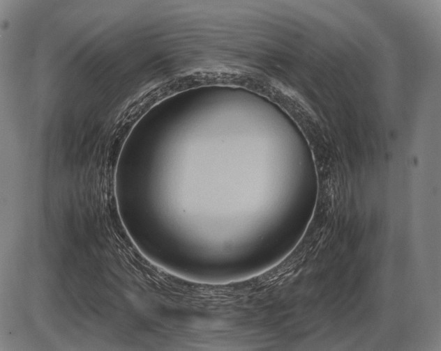 X0000086330870200703301227
