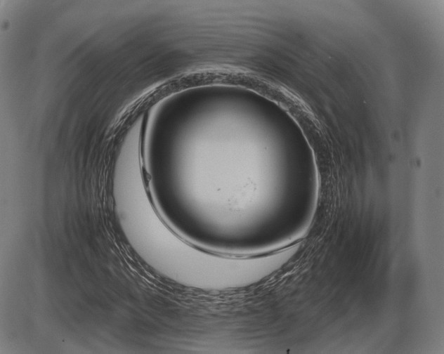 X0000086330872200703301227