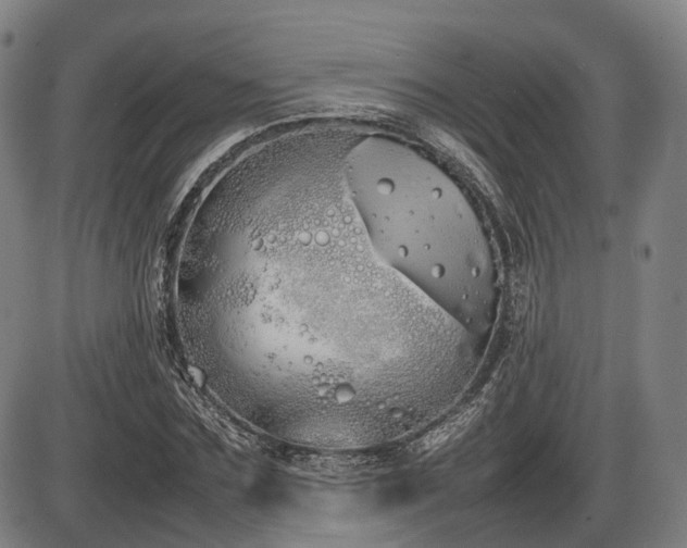 X0000086330875200703301227