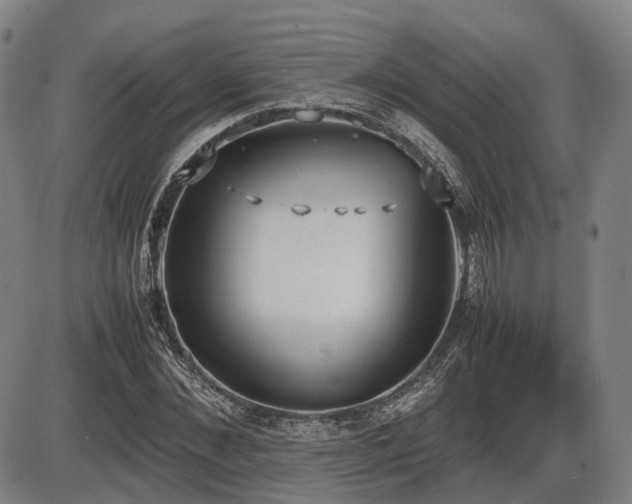 X0000086330876200703301227