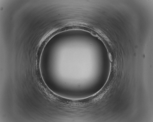 X0000086330877200703301227