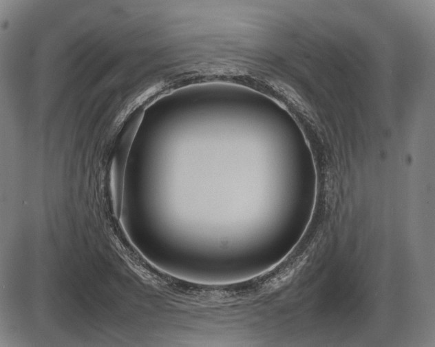 X0000086330881200703301227