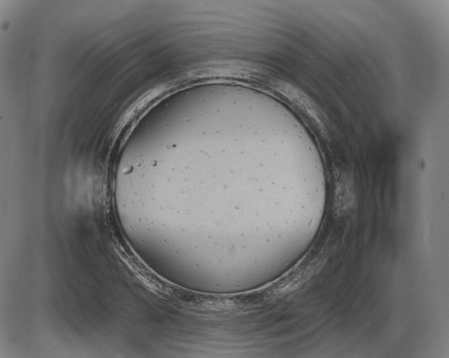 X0000086330882200703301227