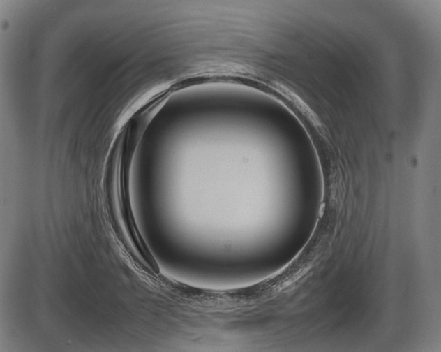 X0000086330885200703301227