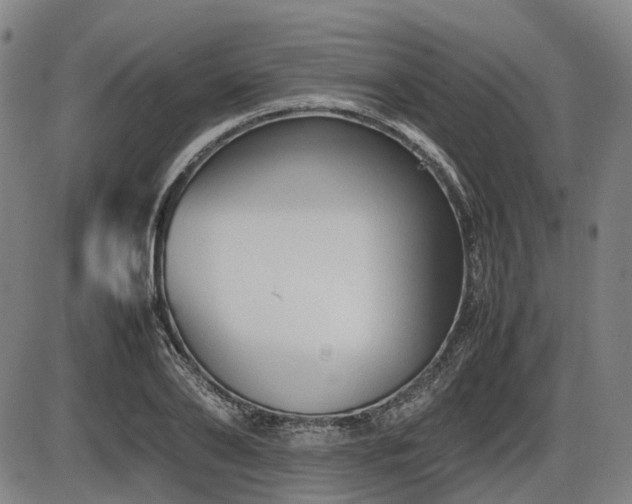 X0000086330886200703301227