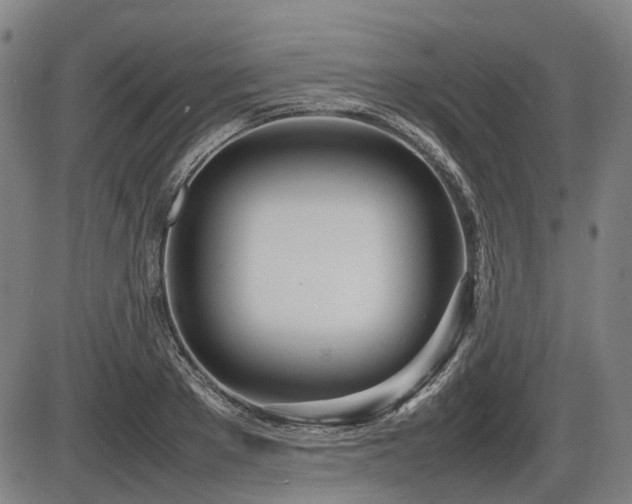 X0000086330889200703301227