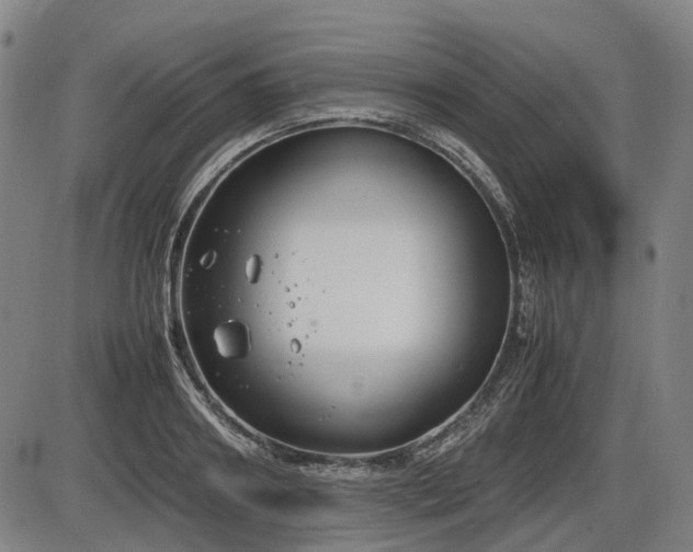 X0000086330890200703301227