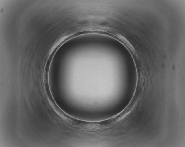 X0000086330893200703301227