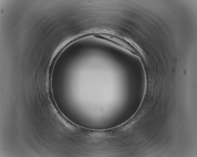 X0000086330894200703301227