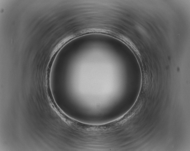 X0000086330898200703301227