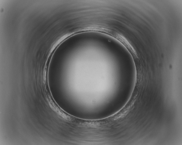 X0000086330900200703301227
