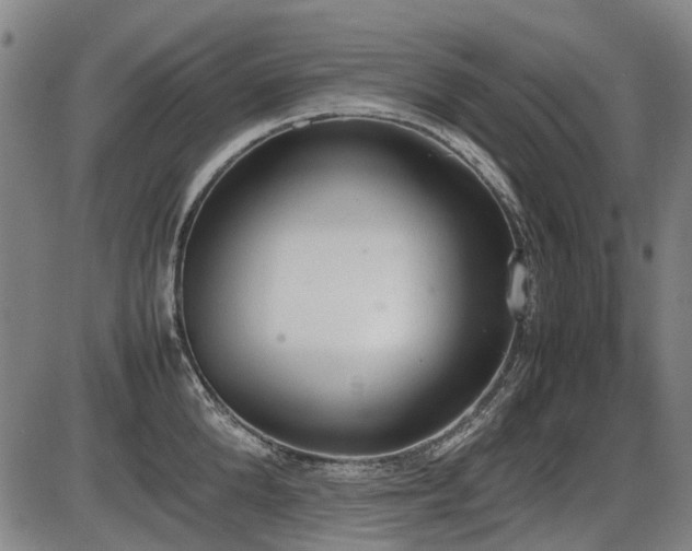 X0000086330904200703301227