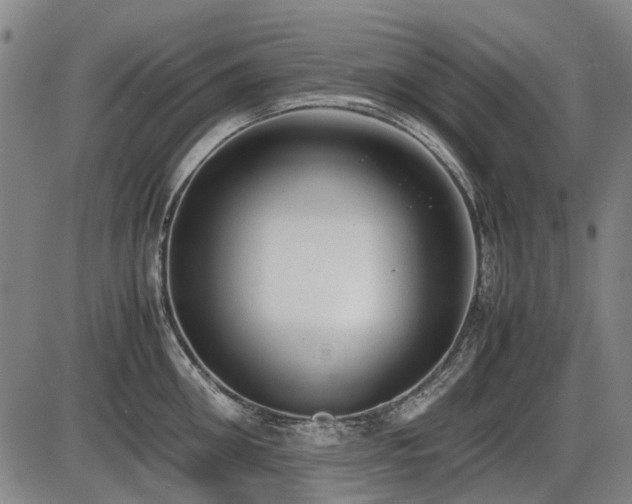 X0000086330906200703301227