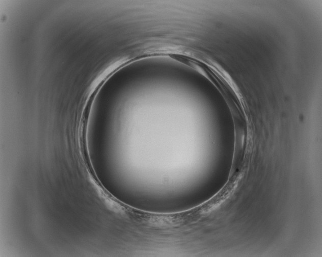 X0000086330909200703301227