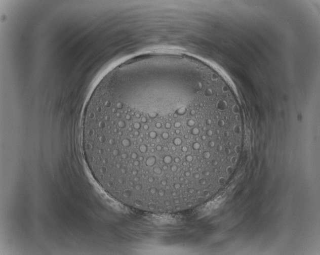 X0000086330911200703301227