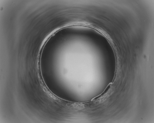 X0000086330912200703301227