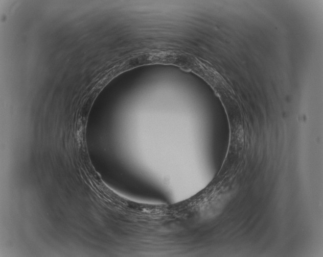 X0000086330914200703301226