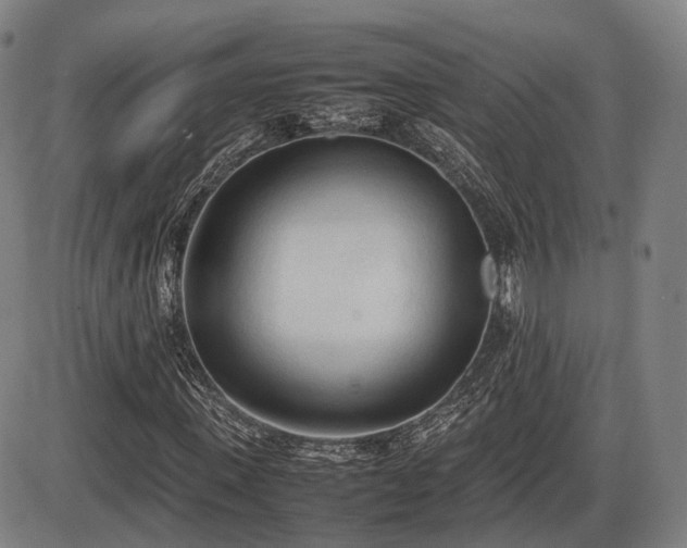 X0000086330915200703301226