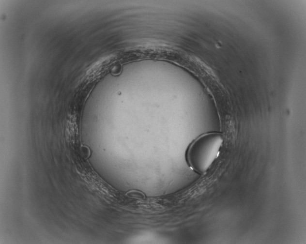 X0000086330918200703301226