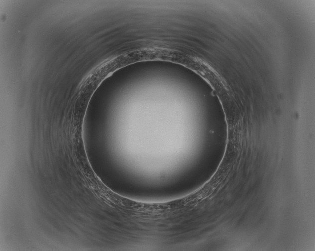 X0000086330919200703301226