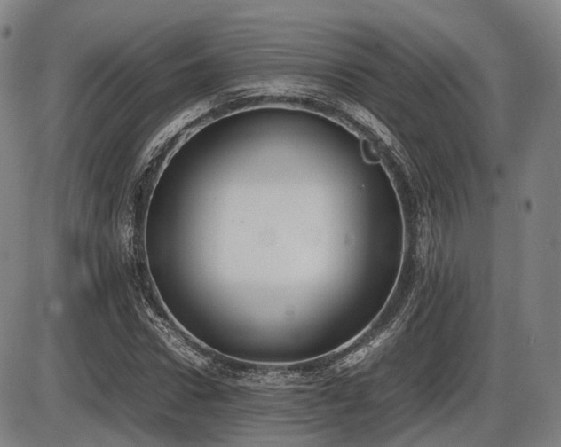 X0000086330922200703301226