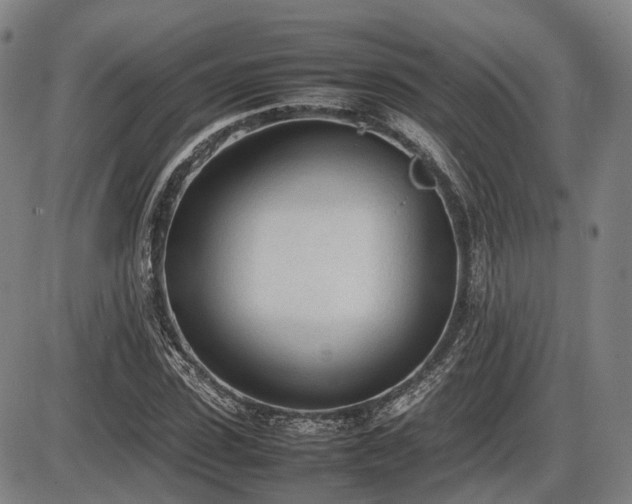 X0000086330923200703301226