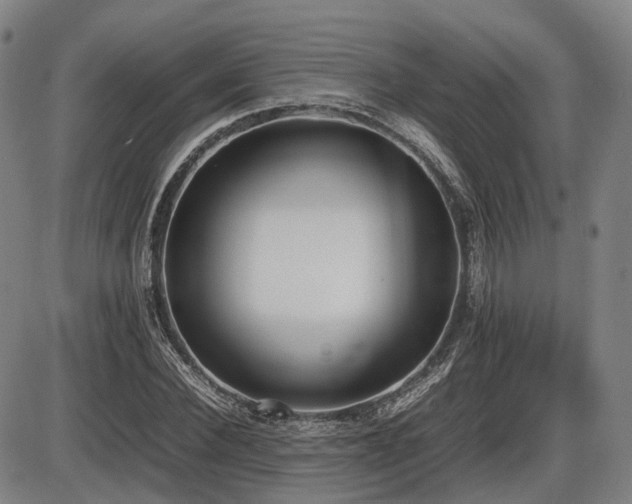 X0000086330924200703301226