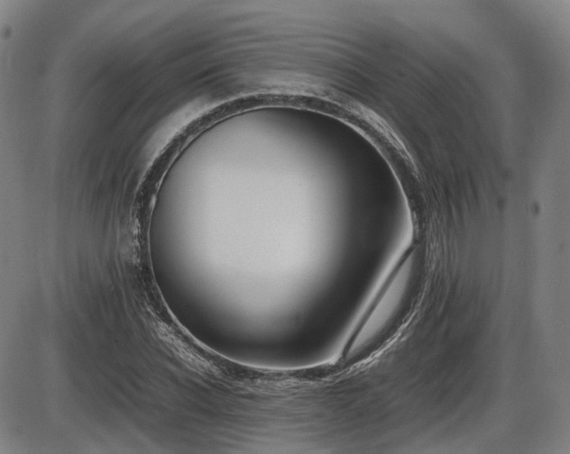X0000086330926200703301226