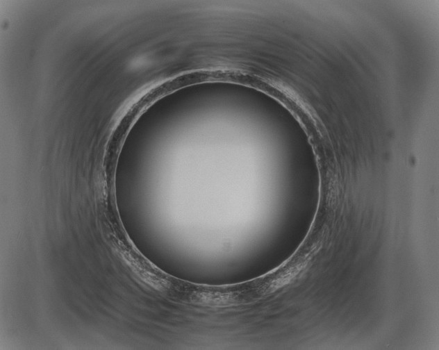 X0000086330927200703301226
