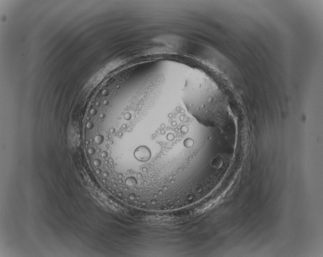 X0000086330929200703301226