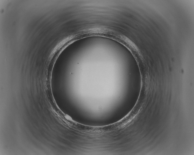 X0000086330930200703301226