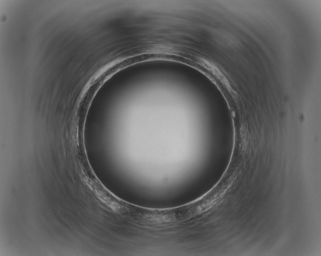 X0000086330931200703301226