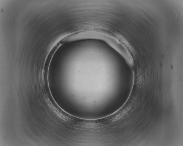 X0000086330932200703301226