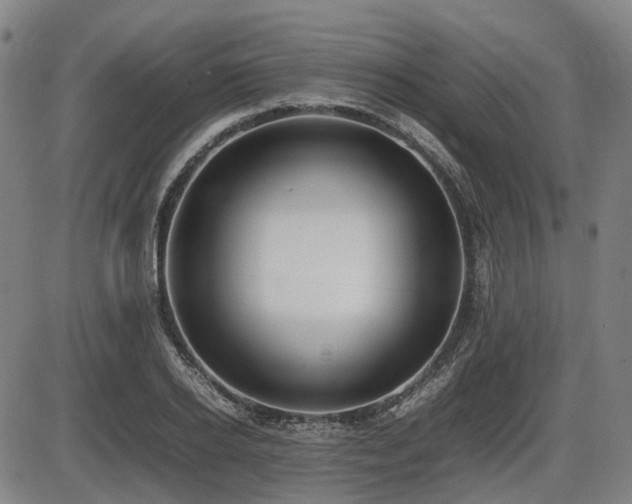 X0000086330934200703301226