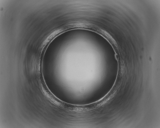 X0000086330938200703301226