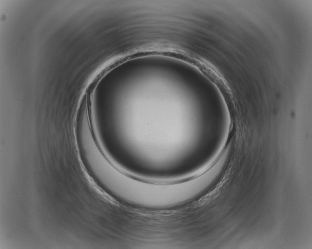 X0000086330942200703301226