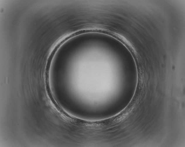 X0000086330943200703301226