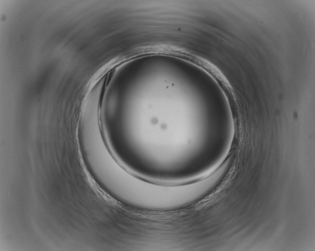 X0000086330946200703301226