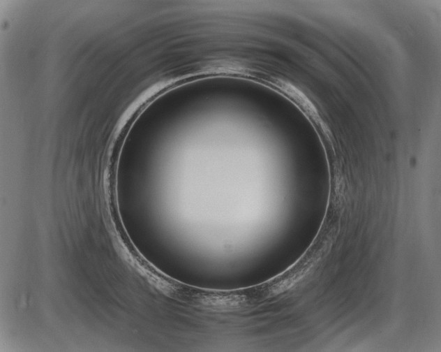 X0000086330947200703301226