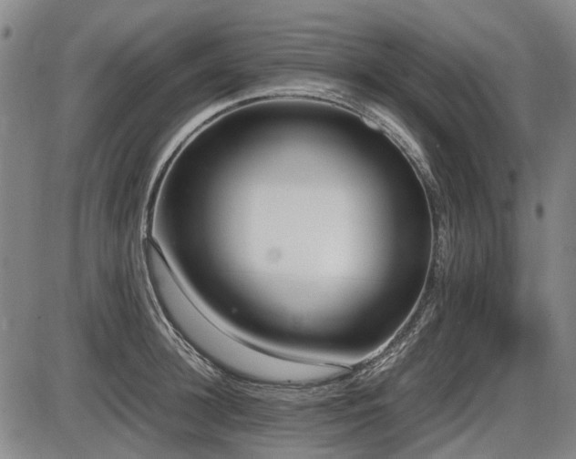 X0000086330948200703301226