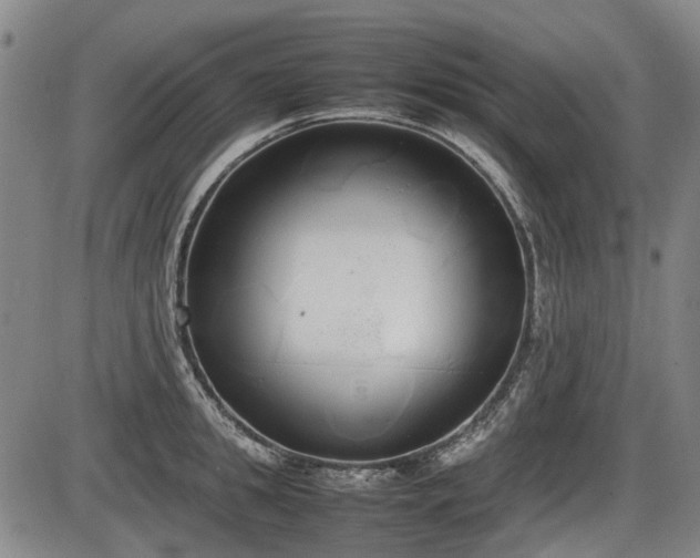 X0000086330949200703301226