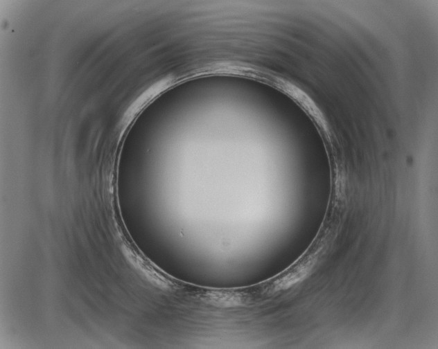 X0000086330954200703301226