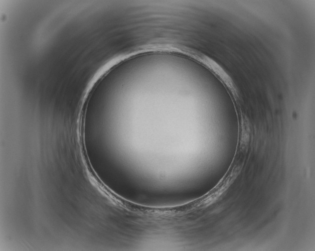 X0000086330958200703301226