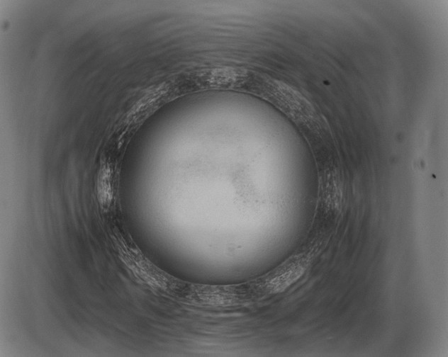 X0000086330962200703301226