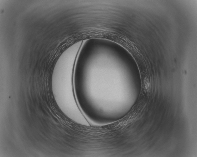 X0000086330964200703301226