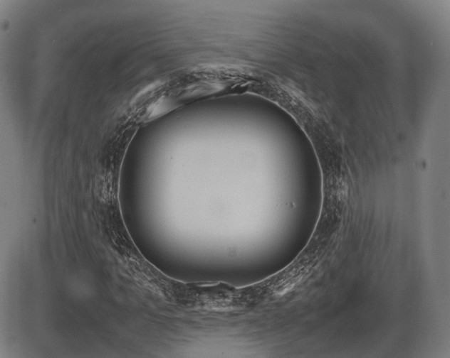 X0000086330965200703301226