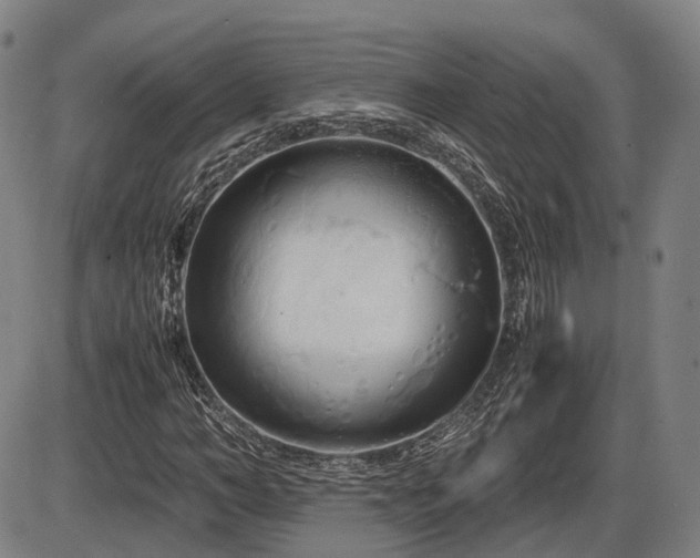 X0000086330966200703301226