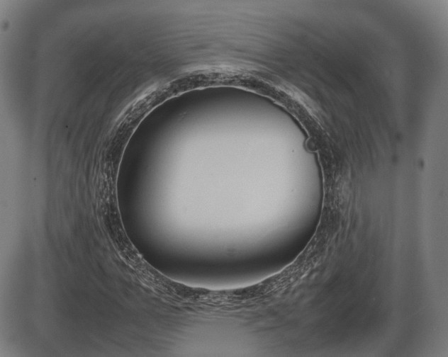 X0000086330967200703301226