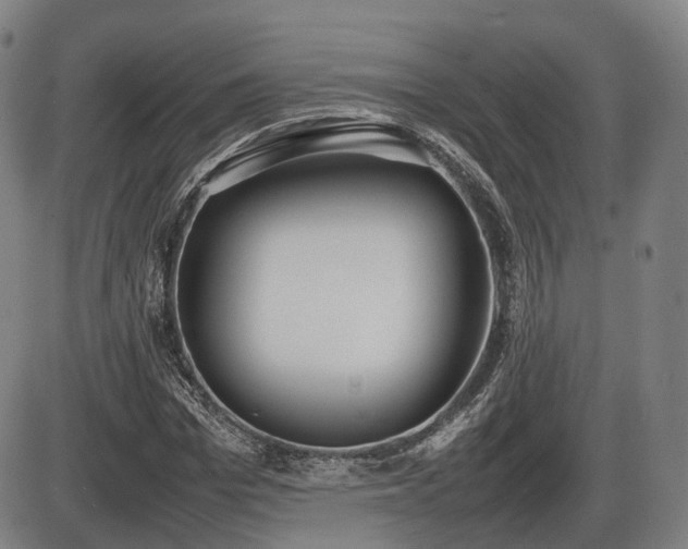 X0000086330969200703301226