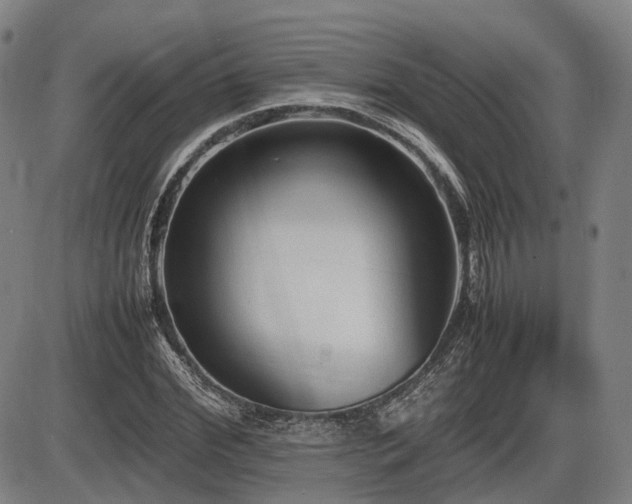 X0000086330972200703301226